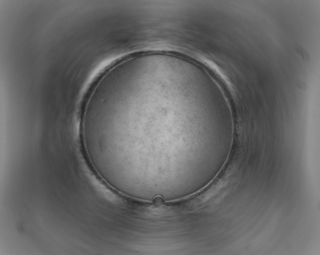 X0000112771416200908201457