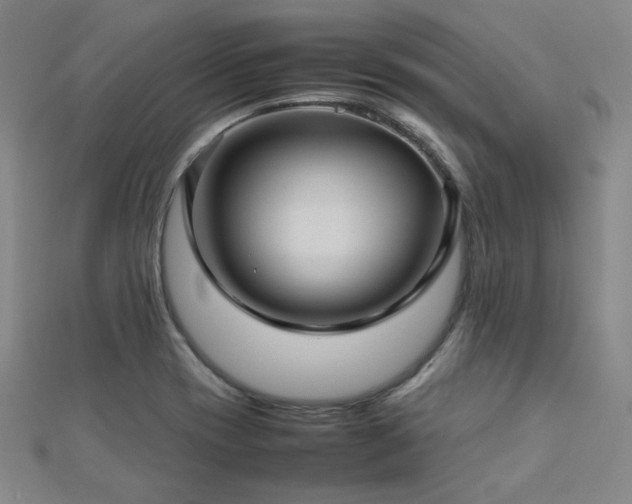 X0000112771417200908201457