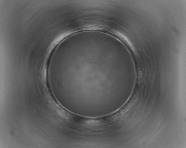 X0000112771419200908201457