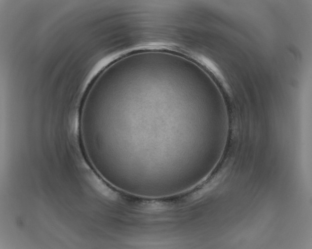 X0000112771420200908201457