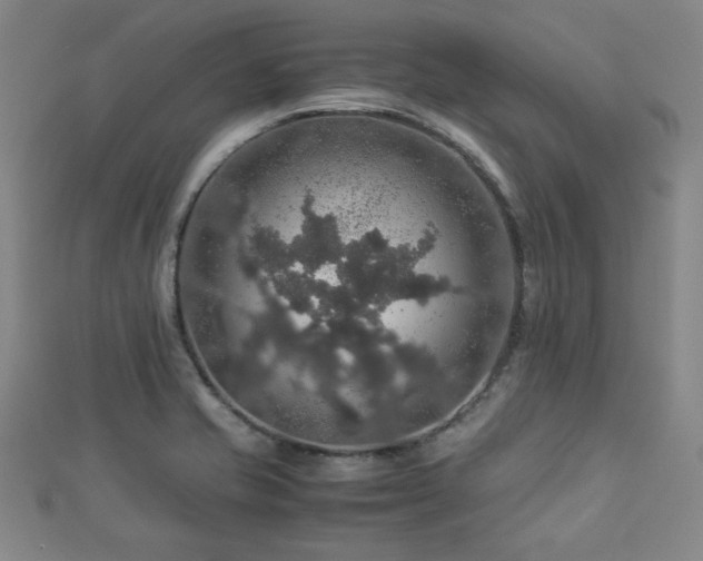 X0000112771421200908201457