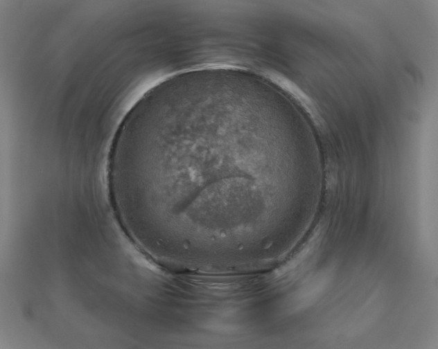X0000112771423200908201457