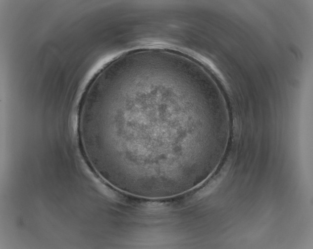 X0000112771424200908201457