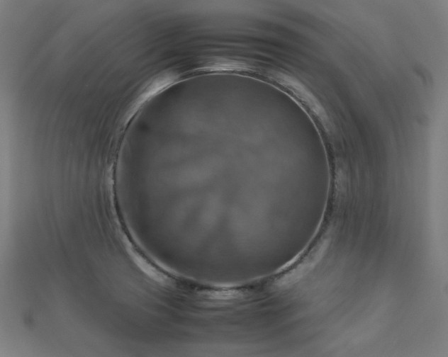 X0000112771425200908201457