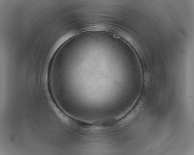 X0000112771426200908201457