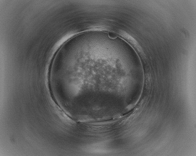 X0000112771427200908201457