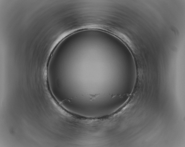 X0000112771428200908201457