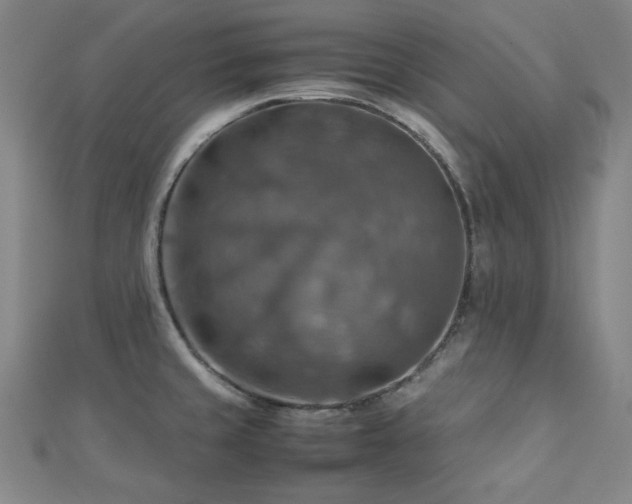 X0000112771429200908201457