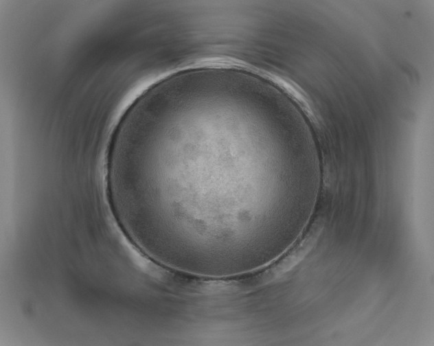 X0000112771430200908201457