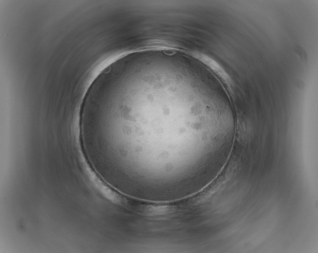 X0000112771431200908201457