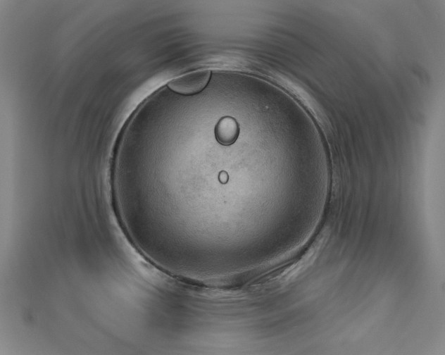 X0000112771434200908201457