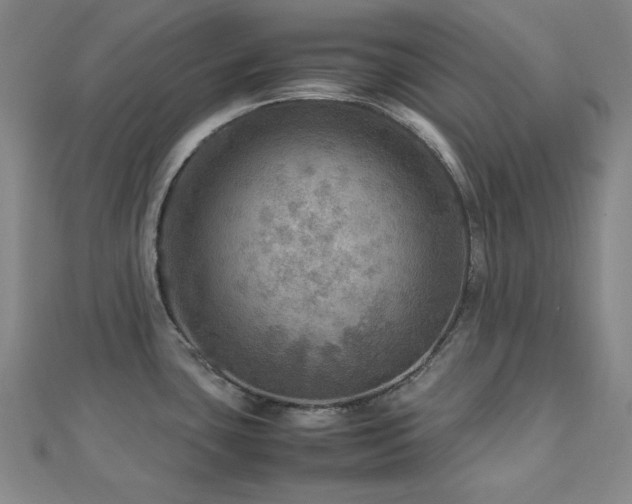 X0000112771435200908201457