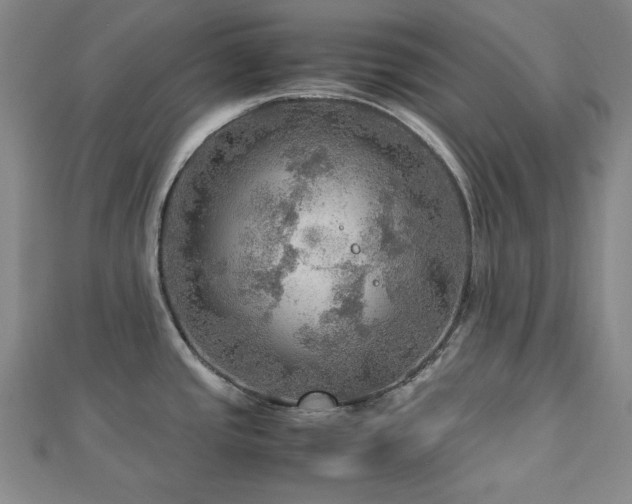 X0000112771437200908201457