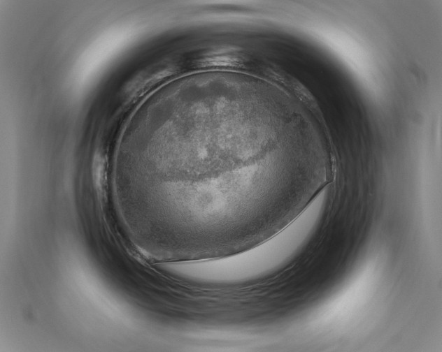 X0000112771438200908201457