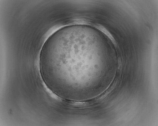 X0000112771439200908201457