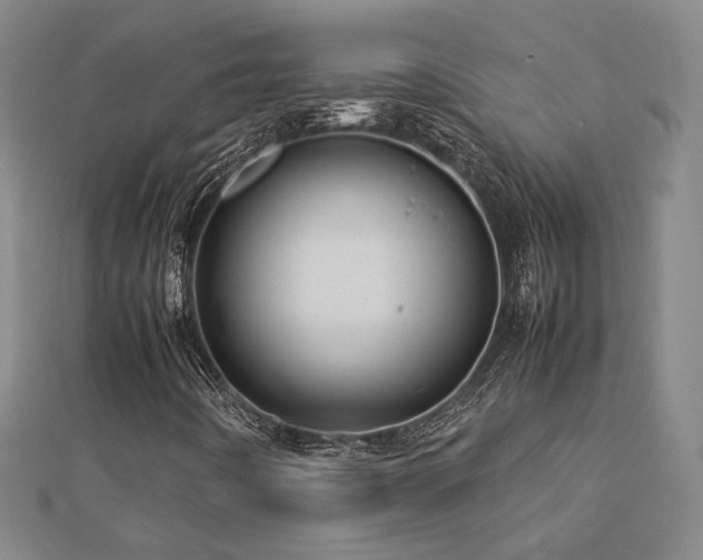 X0000112771442200908201457