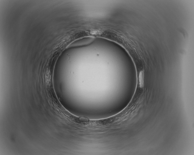 X0000112771443200908201457