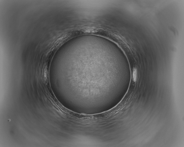 X0000112771444200908201457