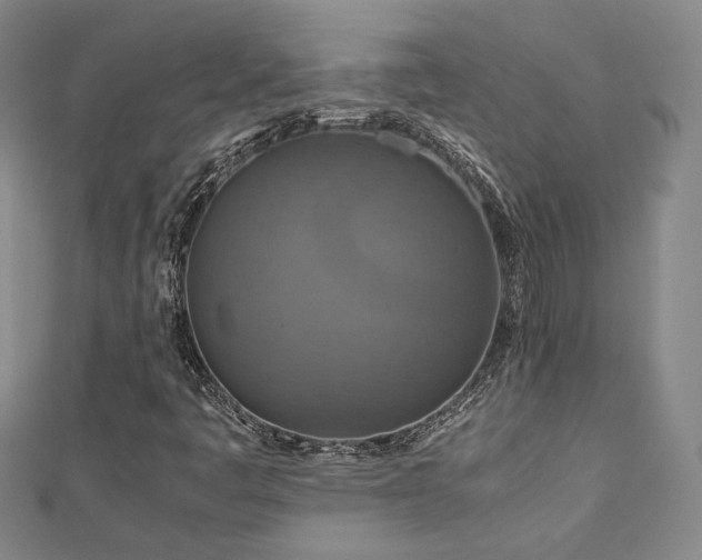 X0000112771445200908201457
