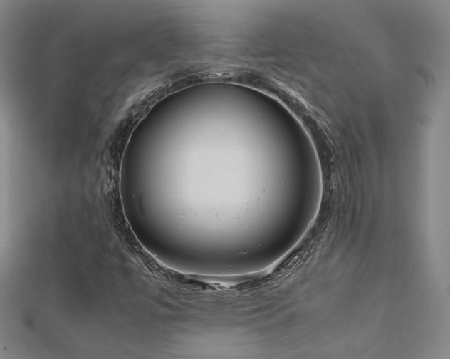 X0000112771447200908201457