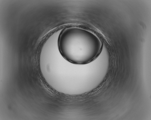 X0000112771448200908201457