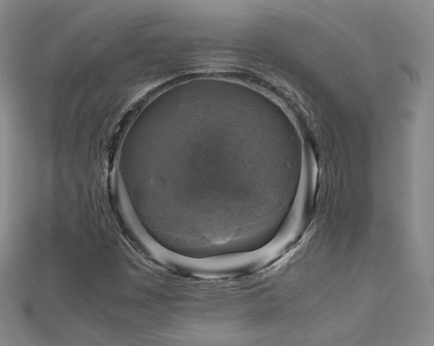 X0000112771449200908201457