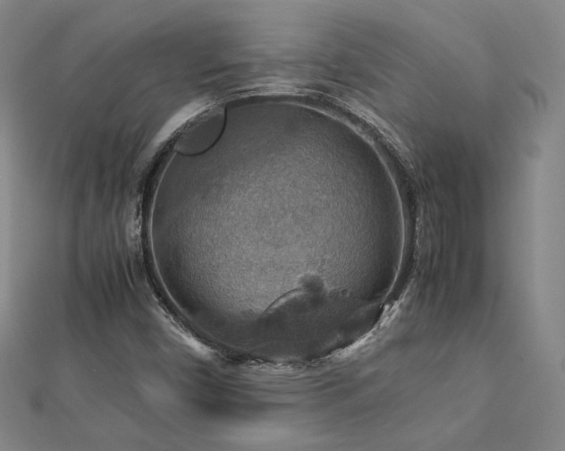 X0000112771450200908201457