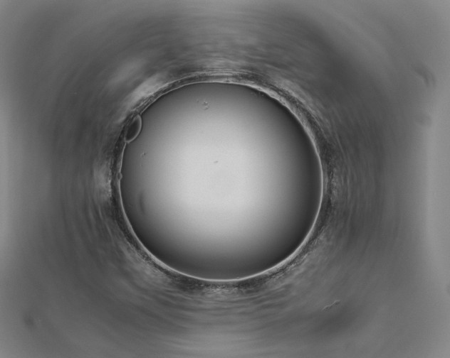 X0000112771451200908201457