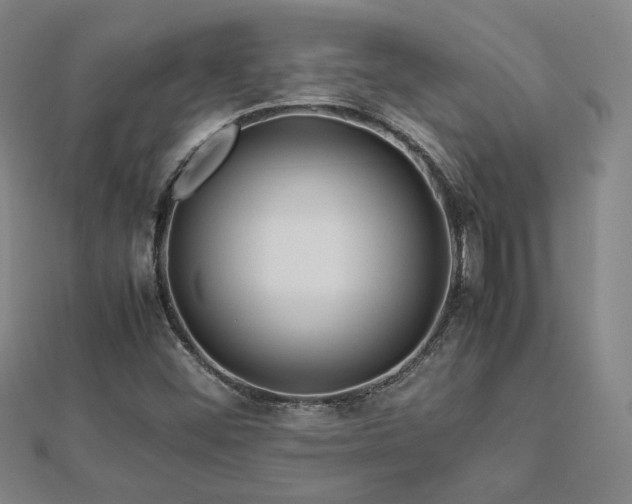 X0000112771452200908201456