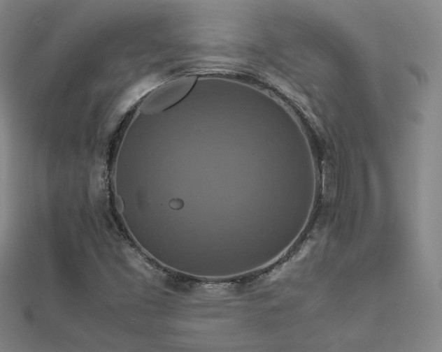 X0000112771453200908201456