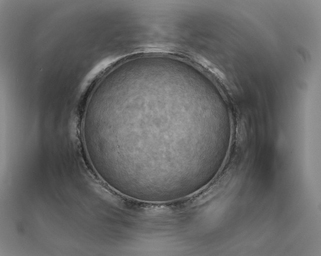 X0000112771454200908201456