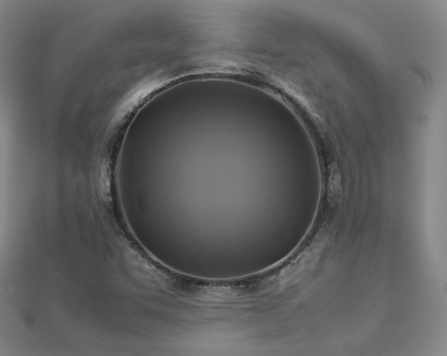 X0000112771455200908201456