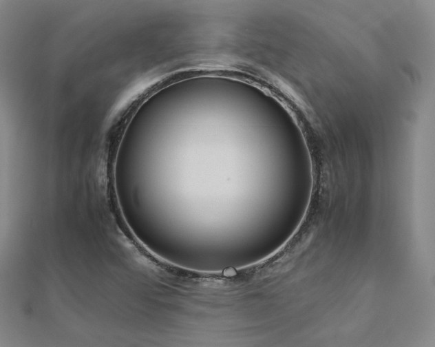 X0000112771456200908201456