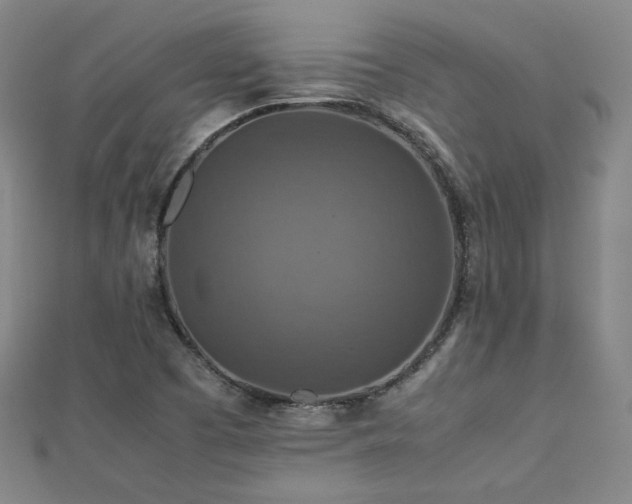 X0000112771457200908201456