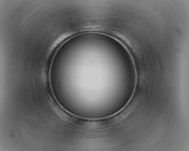 X0000112771458200908201456