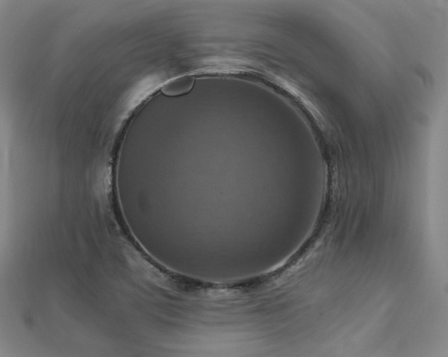 X0000112771459200908201456