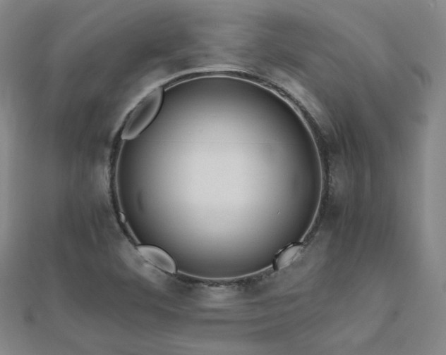 X0000112771460200908201456