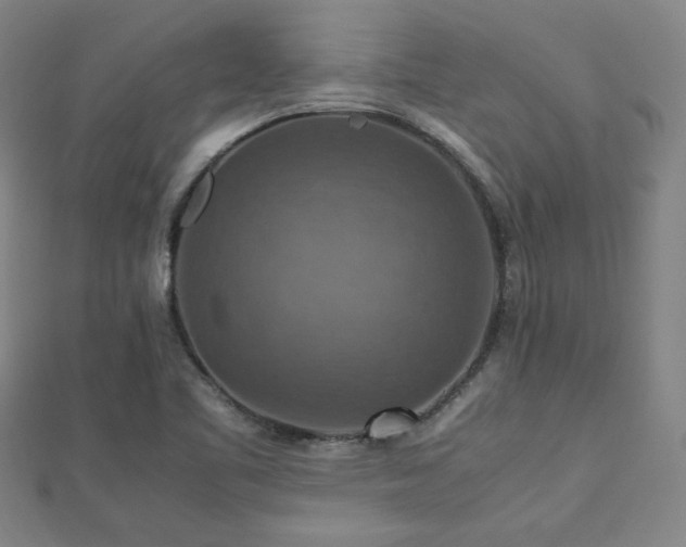 X0000112771461200908201456