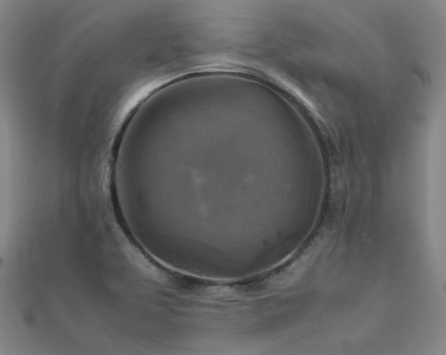 X0000112771463200908201456