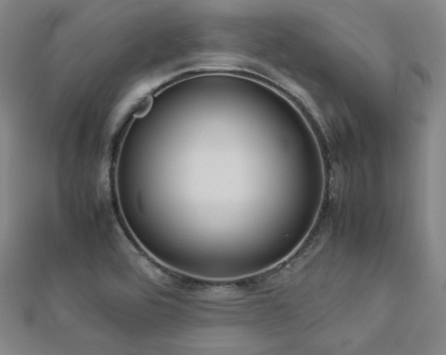 X0000112771464200908201456
