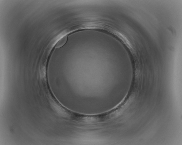 X0000112771465200908201456