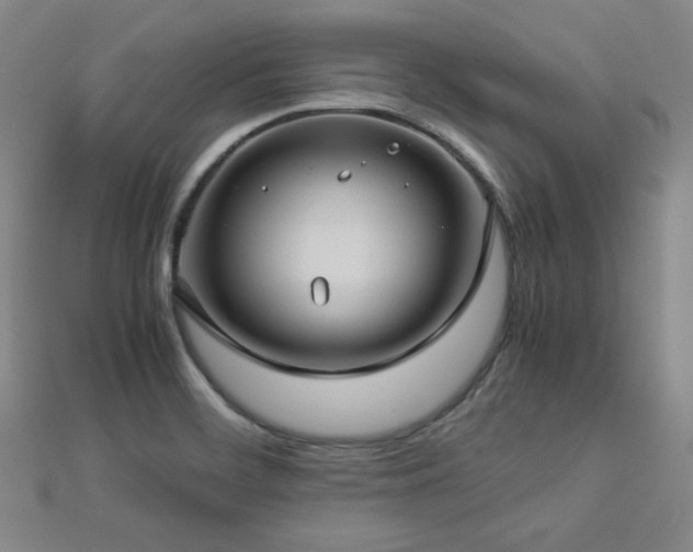 X0000112771468200908201456