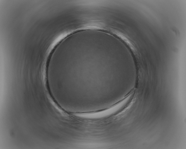 X0000112771469200908201456