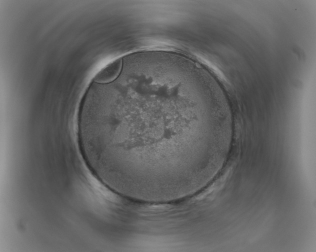 X0000112771471200908201456