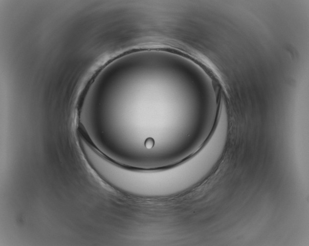 X0000112771472200908201456