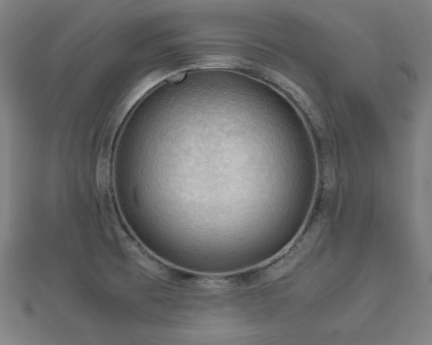 X0000112771473200908201456