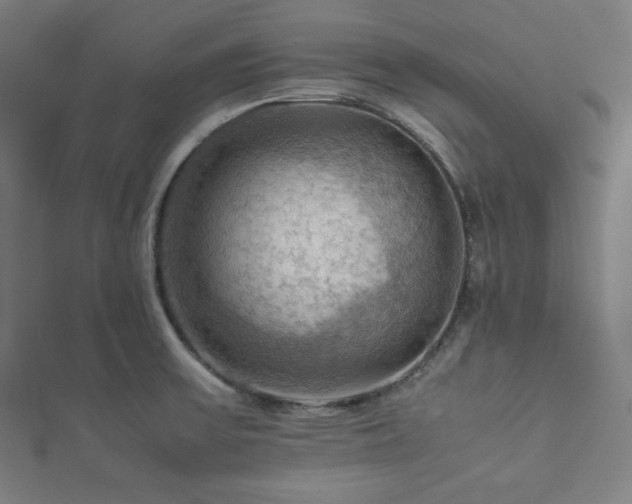 X0000112771475200908201456
