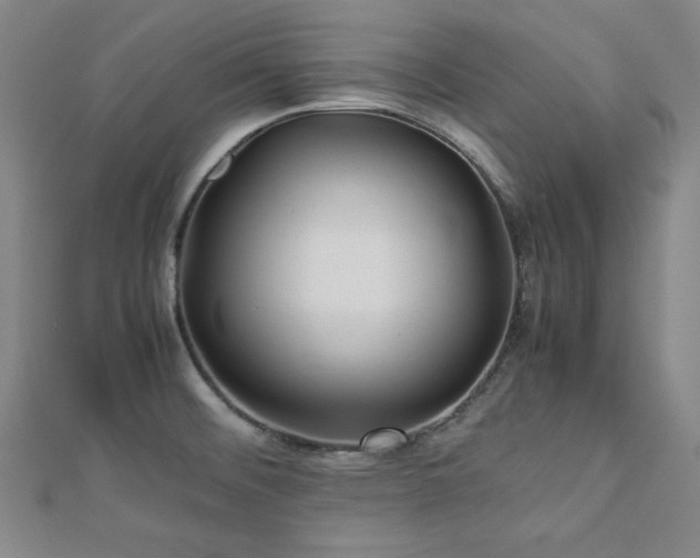 X0000112771476200908201456