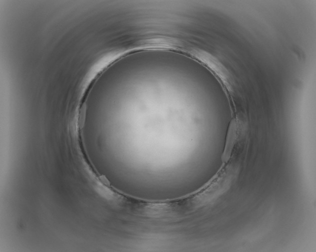 X0000112771477200908201456