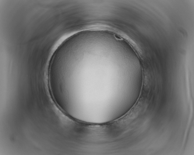 X0000112771478200908201456
